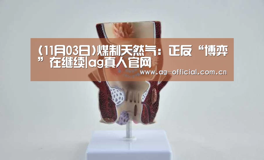 (11月03日)煤制天然气:正反“博弈”在继续|ag真人官网(图4) ag真人官网