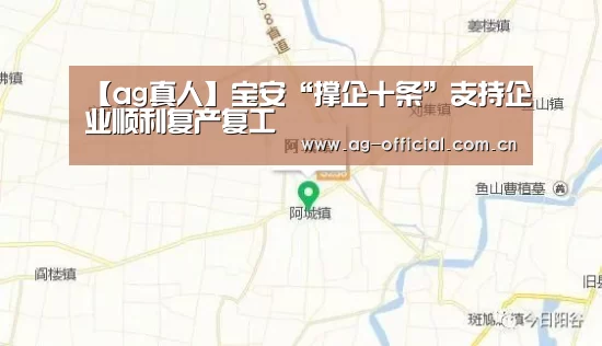 【ag真人】宝安“撑企十条”支持企业顺利复产复工(图3) ag真人