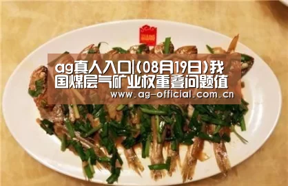 ag真人入口|(08月19日)我国煤层气矿业权重叠问题值得关注(图2) ag真人官网