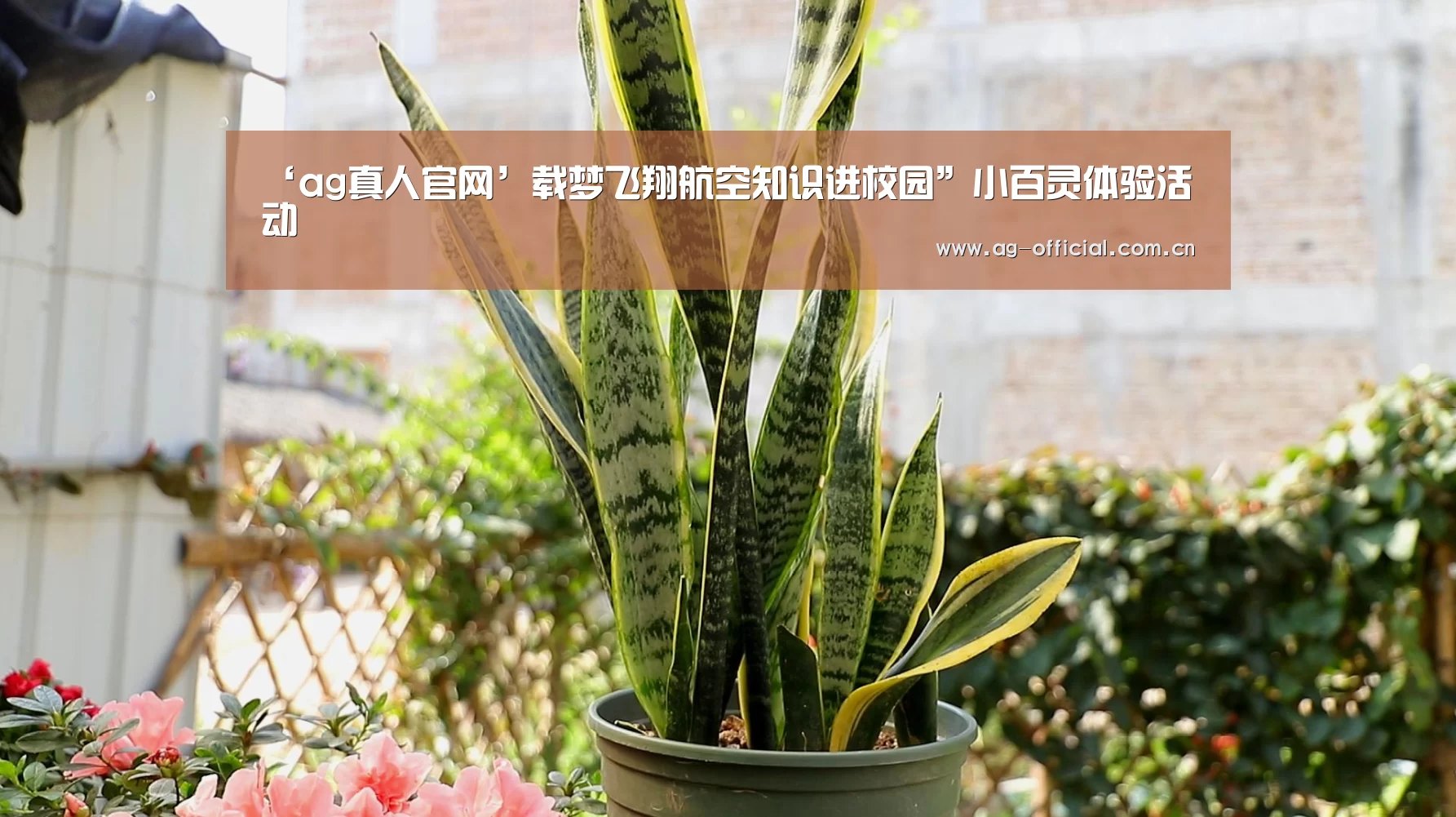 ‘ag真人官网’载梦飞翔航空知识进校园”小百灵体验活动(图1) ag真人